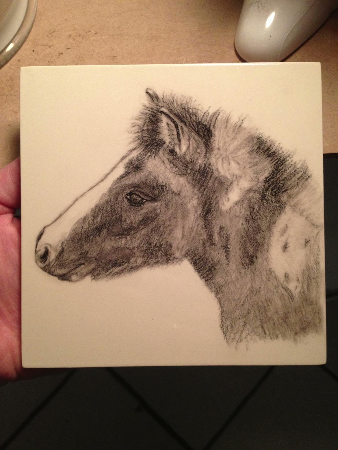 Pinto BROVANG'S FANTASIA billede 17