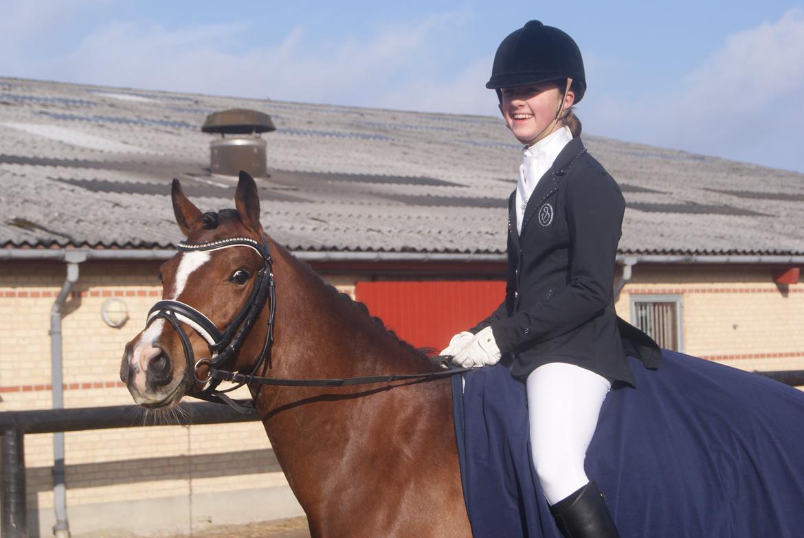 Welsh Partbred (Sec F) Katrinebjergs Ronja   A-pony - Dygtig ponypige til sit allerførste stævne - 22. marts 2014 billede 28