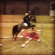 Anden særlig race Victor