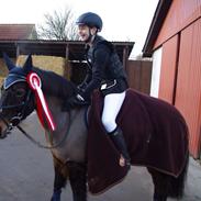 Anden særlig race Victor