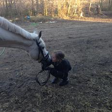 DSP Nørlunds Sally Maree