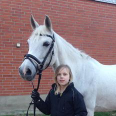 DSP Nørlunds Sally Maree