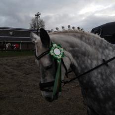 Connemara Lecarrow Smoke