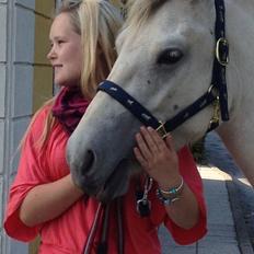 Fjordhest Bjørk Bindernæs (Følle) [Elevhest]