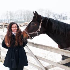 Dansk Varmblod Malou Rishøj