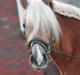 Haflinger Trøja [ Himmel hest ] <3 hvil i fred<3