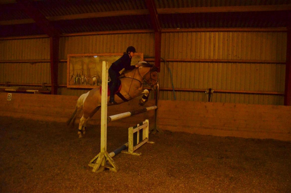 Anden særlig race Charming *Tidl. Part* - Spring marts 2014! billede 20