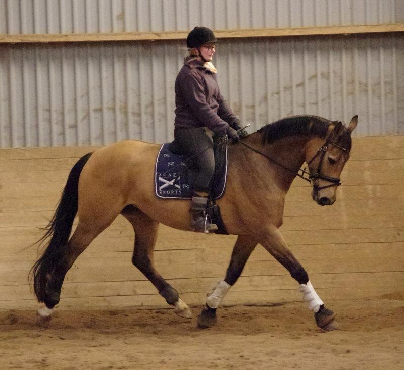 Anden særlig race Asbo´s Fiona - Så blev Fie 4 år - og hun blir bedre og bedre :) billede 8