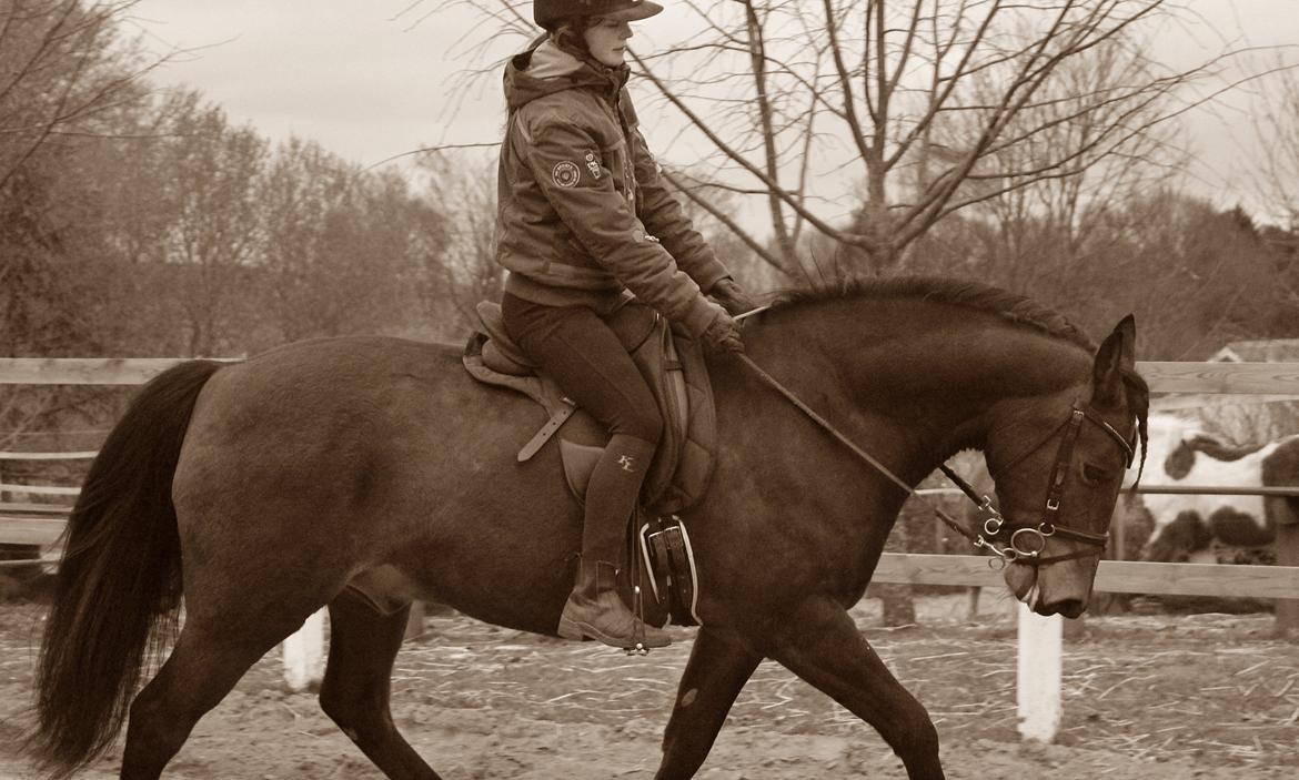 Anden særlig race Milano - ~Foto~ Mathilde billede 6