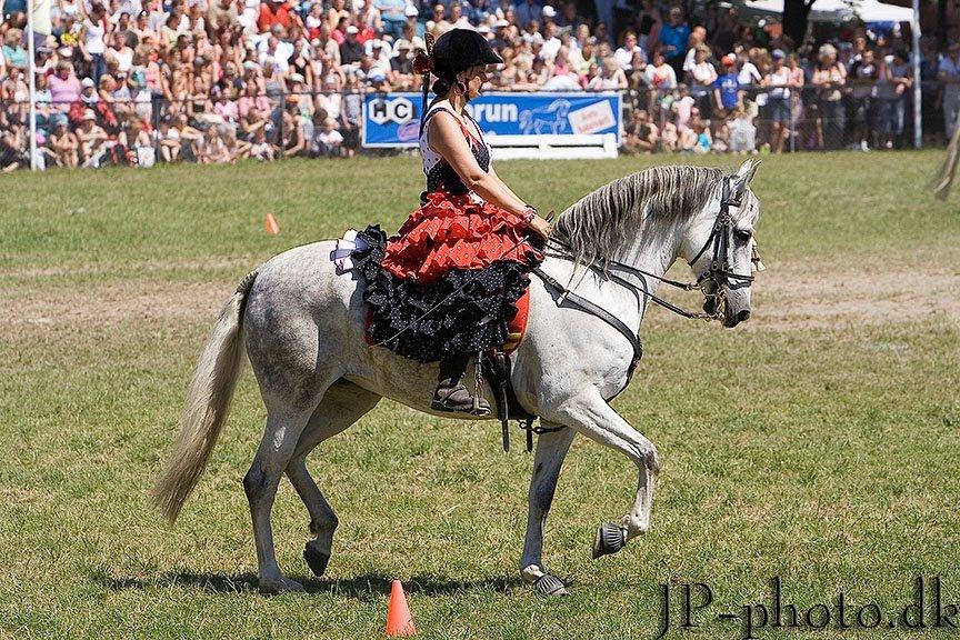 Pura Raza Española Carinosa CCXXIV (Nosa) - Roskilde Dyreskue 2007 billede 15