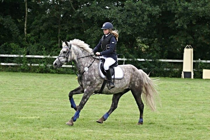 Connemara Lecarrow Smoke billede 4