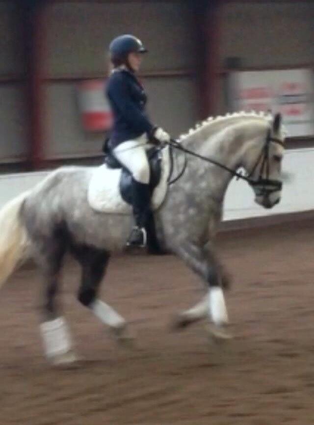 Connemara Lecarrow Smoke billede 8