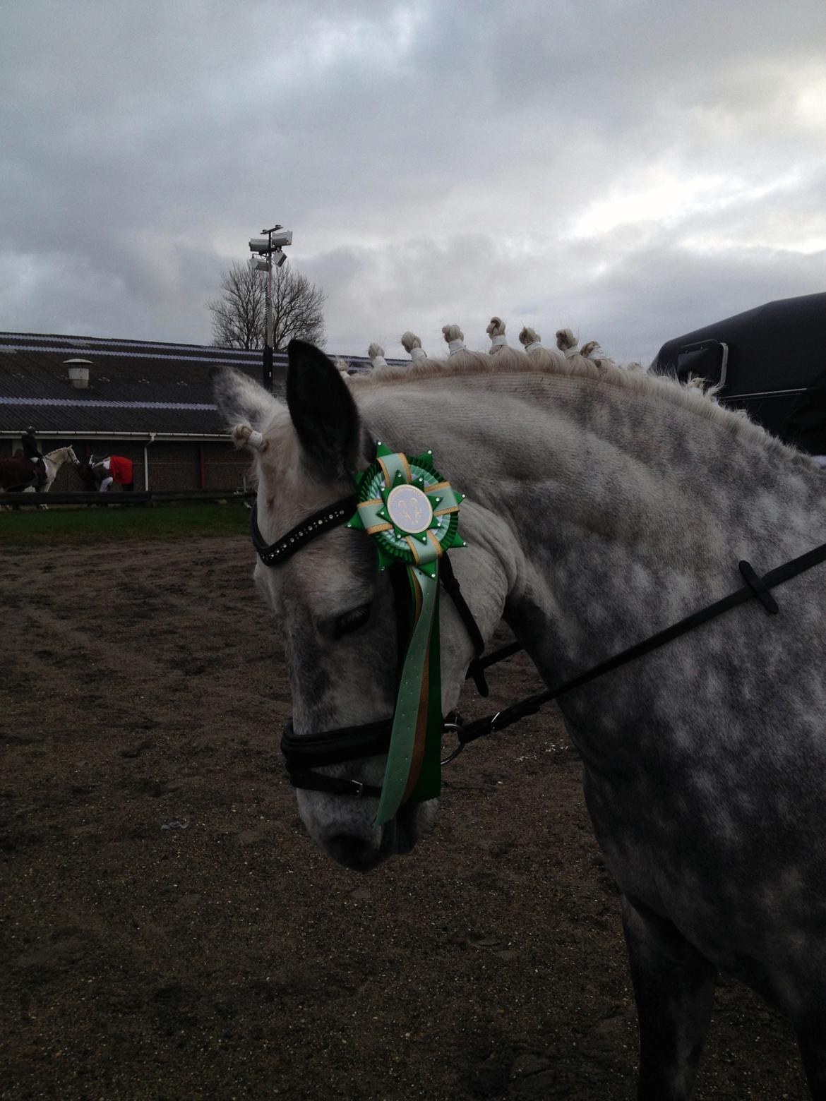 Connemara Lecarrow Smoke billede 2