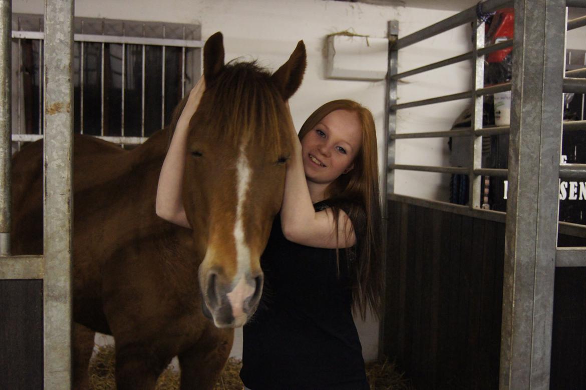 Hollandsk Sportspony Baloubet - Charmetrold <3 billede 6