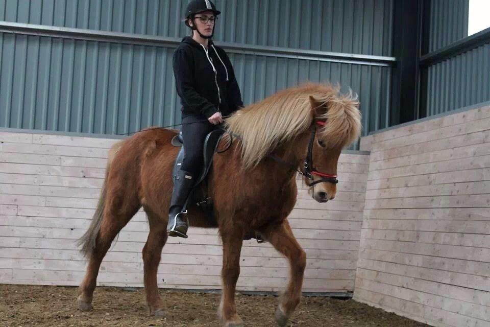 Islænder Vá Fra Arnakke billede 28