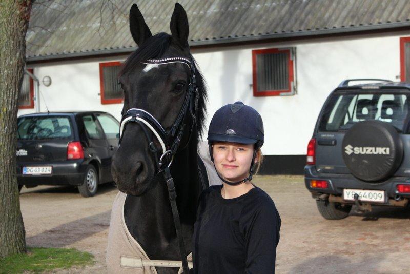 Dansk Varmblod Tekno billede 16