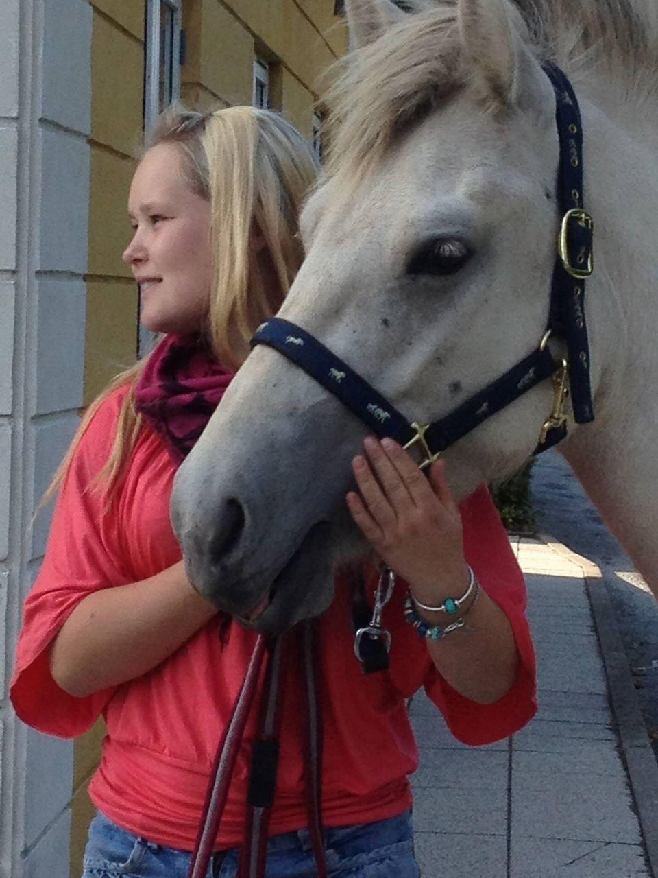 Fjordhest Bjørk Bindernæs (Følle) [Elevhest] billede 1