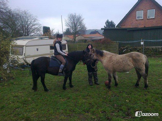 Anden særlig race Blackie - (Lånt af min tante) Hjemme i haven med Bella! billede 11