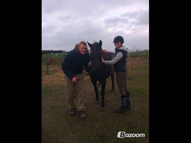 Anden særlig race Blackie - (Lånt af min tante) Nææh, hvor er det hygge! billede 8