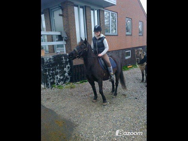 Anden særlig race Blackie - (Lånt af min tante) Kommer mor mon med noget mad??  billede 7