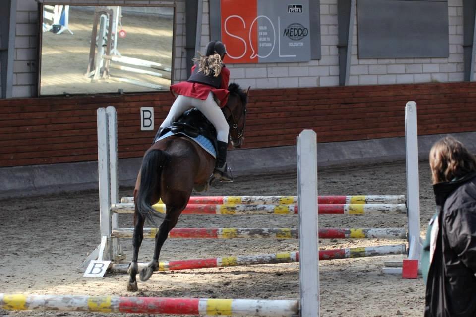 Hollandsk Sportspony Melanie's Lady  B-PONY - Stævne i Gråsten Rideklub *Taget Af Cecilie Gaarde Jørgensen* billede 4