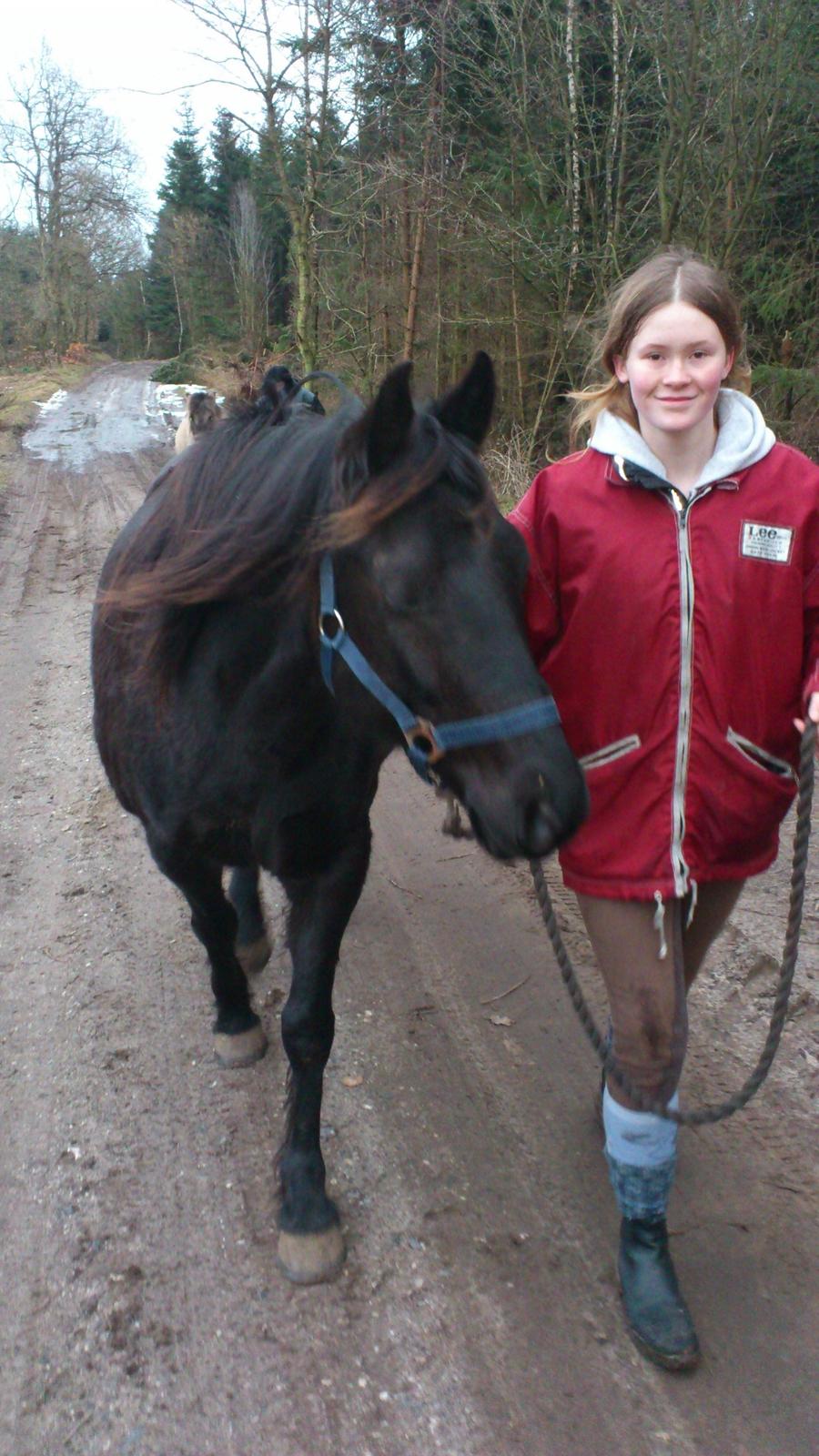 Anden særlig race Blackie - På gåtur. billede 9