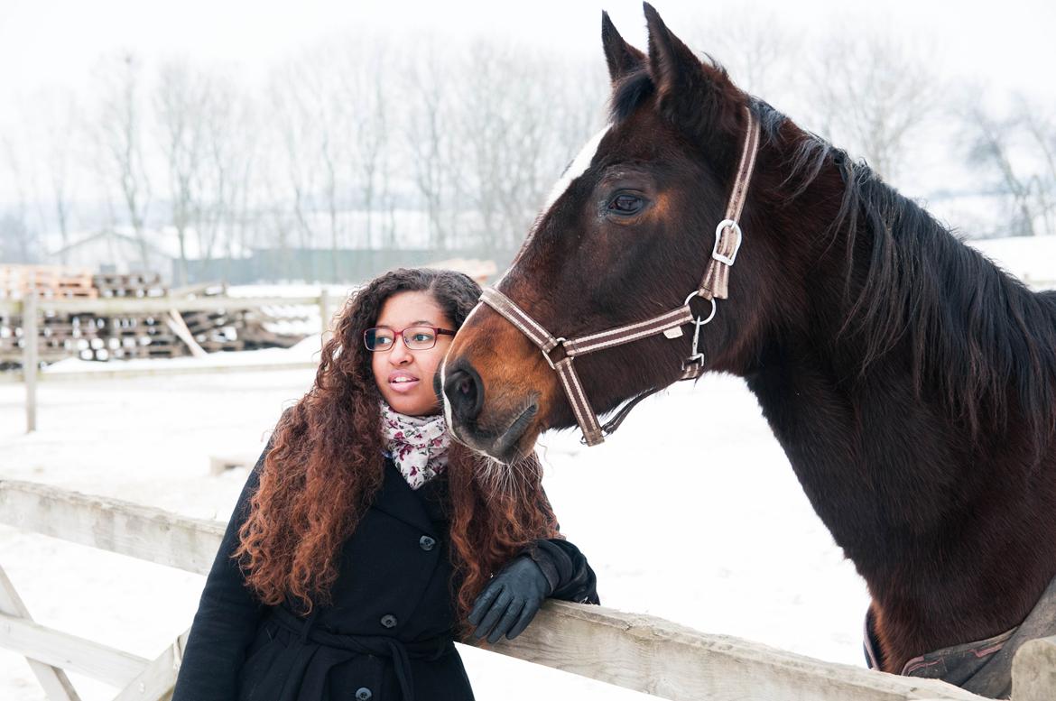 Dansk Varmblod Malou Rishøj billede 3