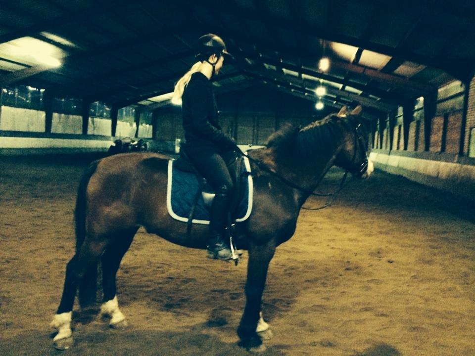 Anden særlig race Django [tidligere lånepony] billede 20