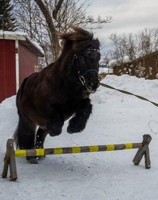 Anden særlig race - Trolle {betterøven} billede 12