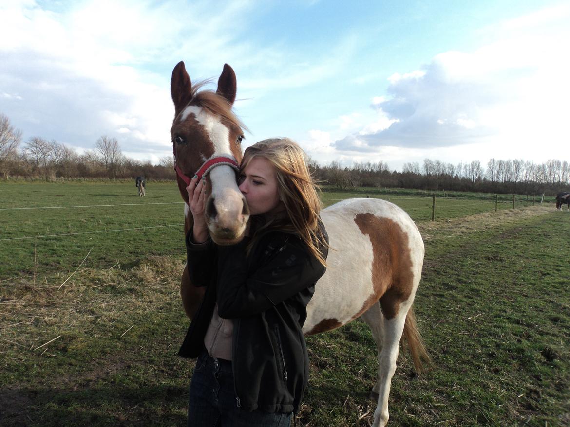 Anden særlig race Mc Queen - Du er savnet !!! <3  billede 19