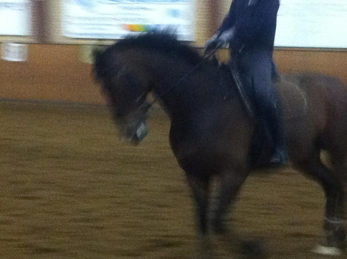 Oldenborg Miro billede 12