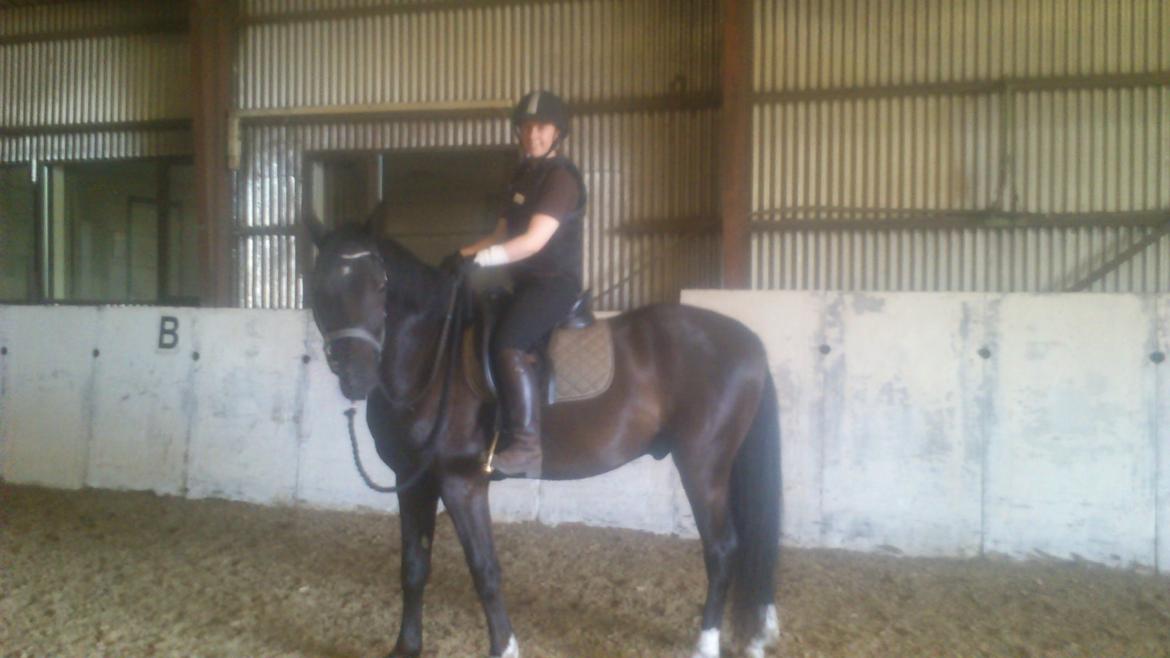 Anden særlig race Beat It - 2. gang jeg sidder på Beat It. Han har bare været så nem at gøre "ridetam" ;-) billede 6