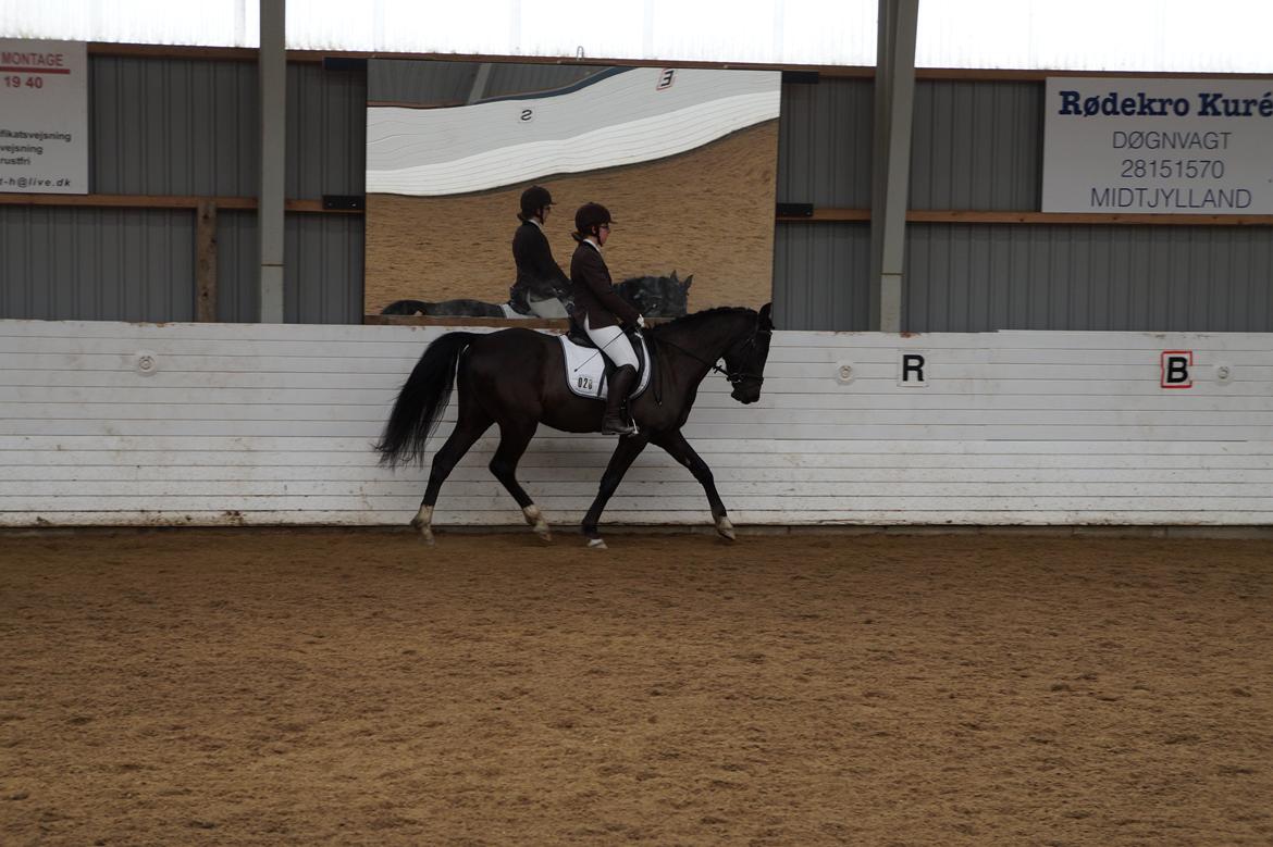 Anden særlig race Beat It - LC2 til Cup-stævnet i Vorbasse 16.03.14 billede 11