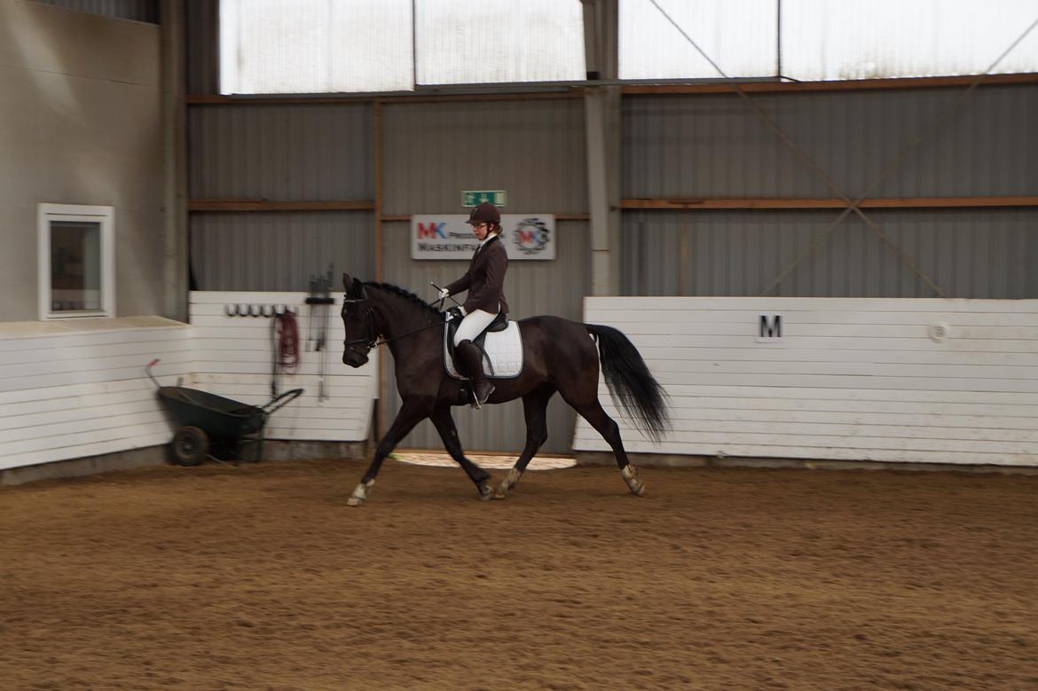 Anden særlig race Beat It - En lidt farlig trillebør ;-) billede 9