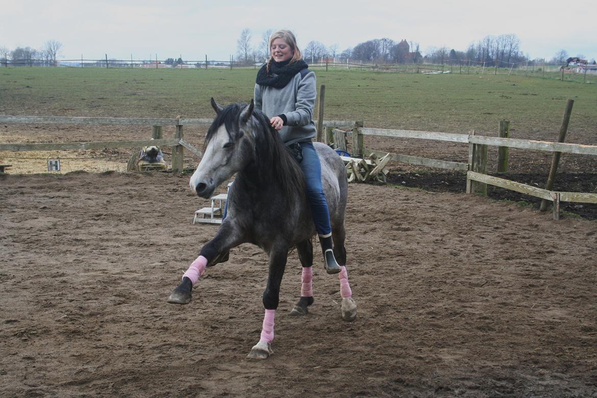 Anden særlig race Rolighedens Caruzo - Min bedste ven i hele verden :-) billede 1