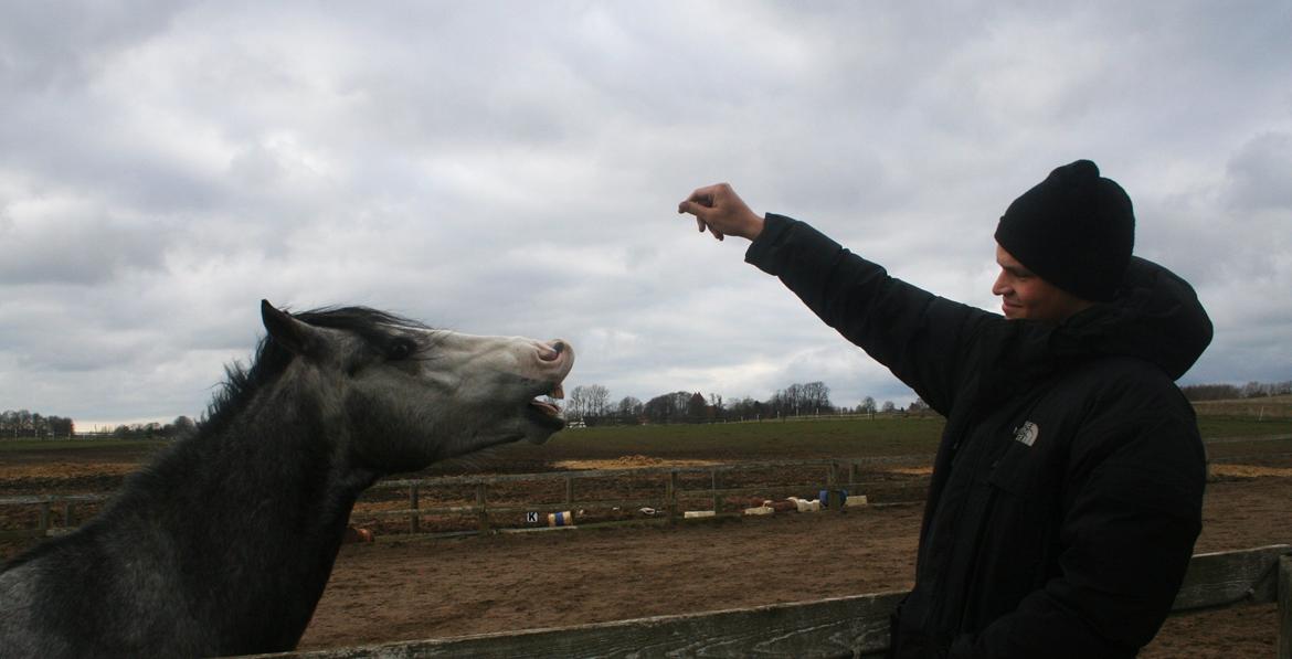 Anden særlig race Rolighedens Caruzo - Det bedste i mit liv ! Min elskede kæreste og min elskede hest ! billede 17
