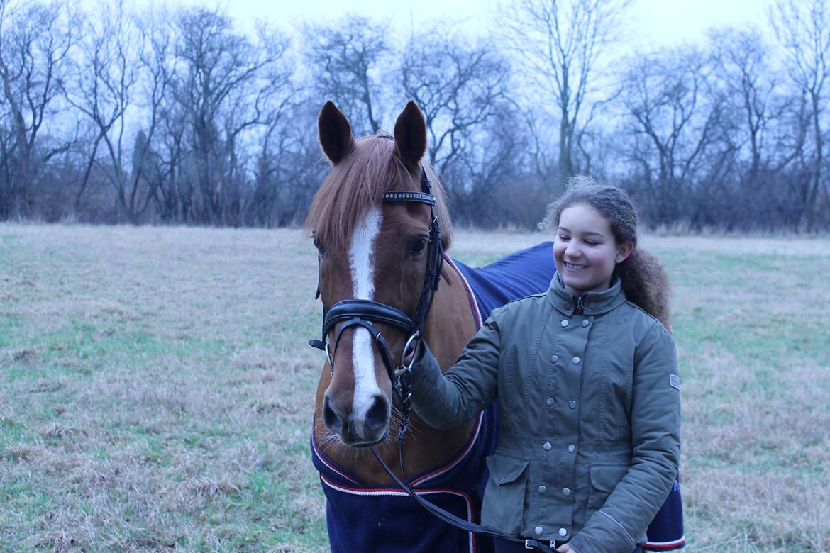 Anden særlig race Chico B-pony - Min basse! JEG SAVNER DIG <3 billede 1