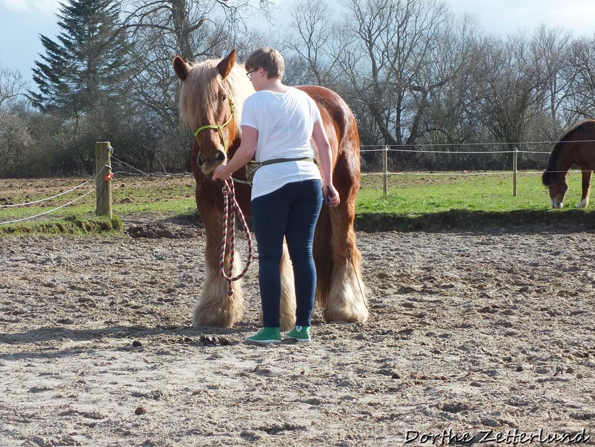 Jyde Knudsen billede 4