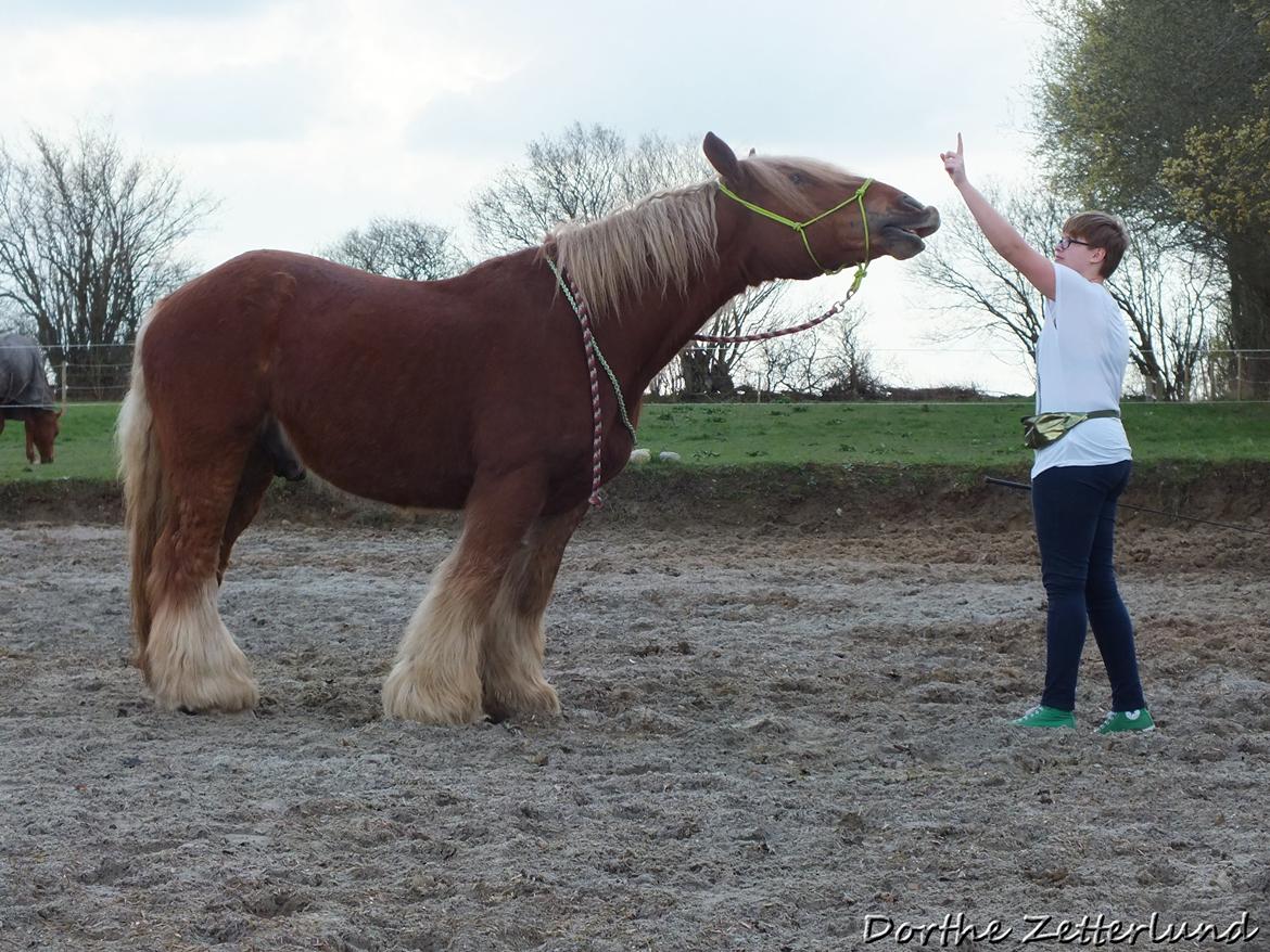 Jyde Knudsen billede 7