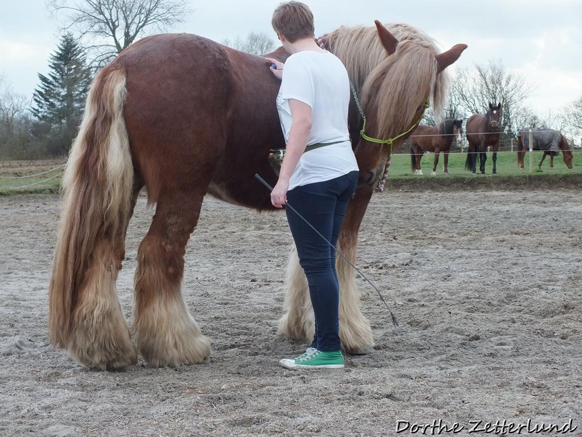 Jyde Knudsen billede 12