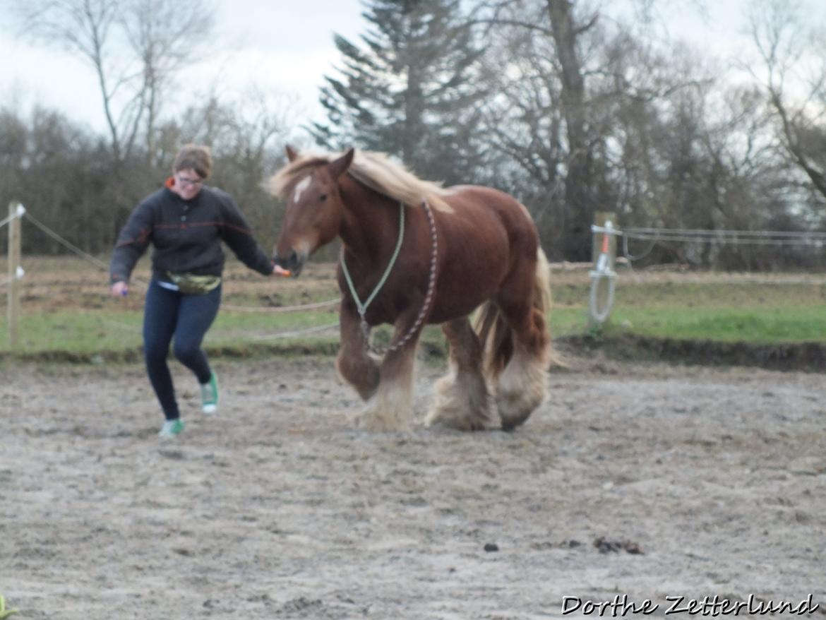Jyde Knudsen billede 18