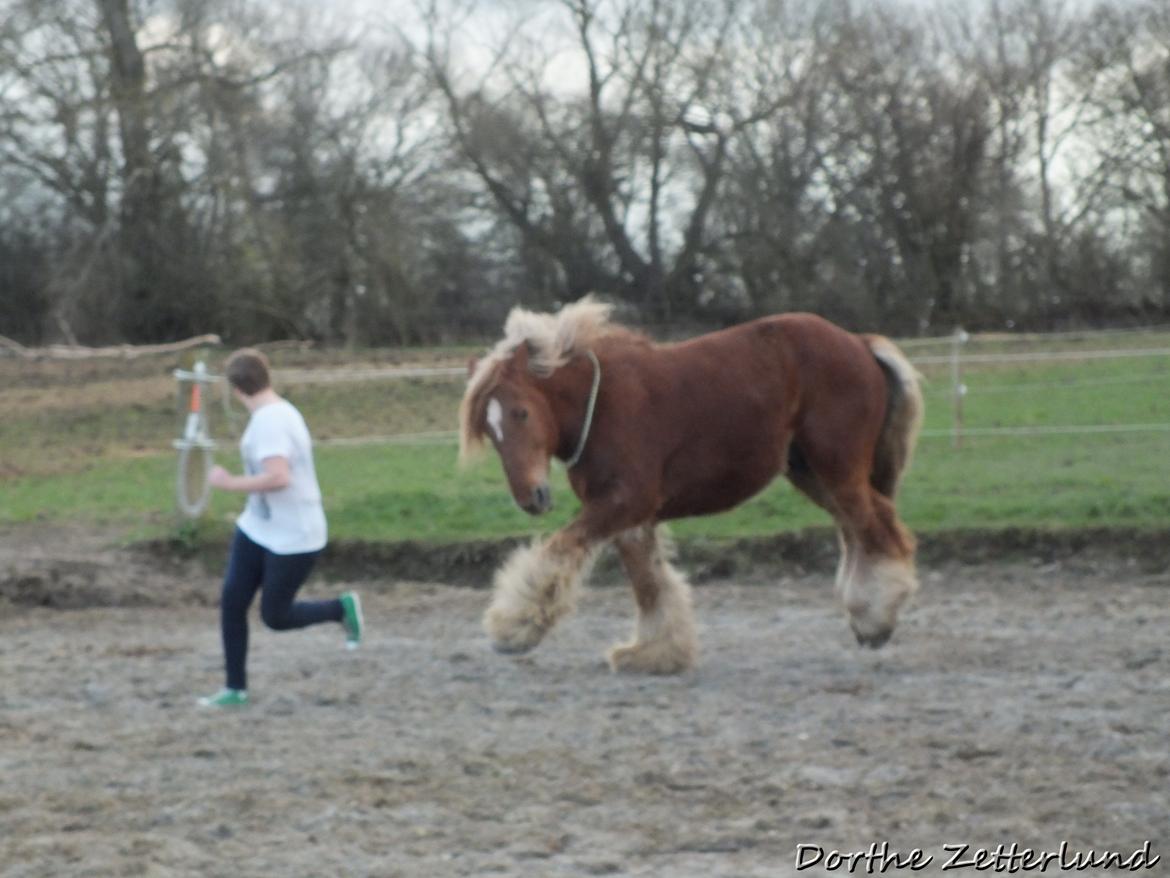 Jyde Knudsen billede 8