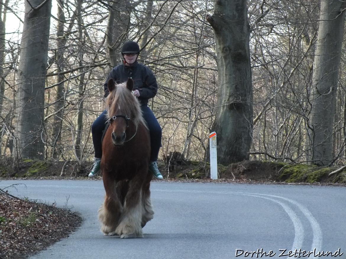 Jyde Knudsen billede 13