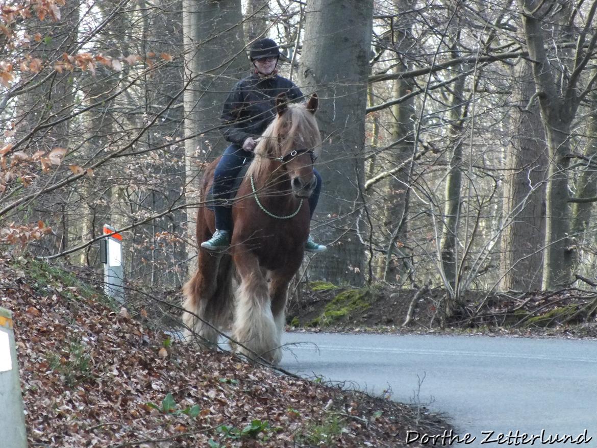 Jyde Knudsen billede 3