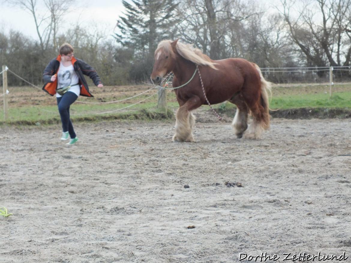 Jyde Knudsen billede 2