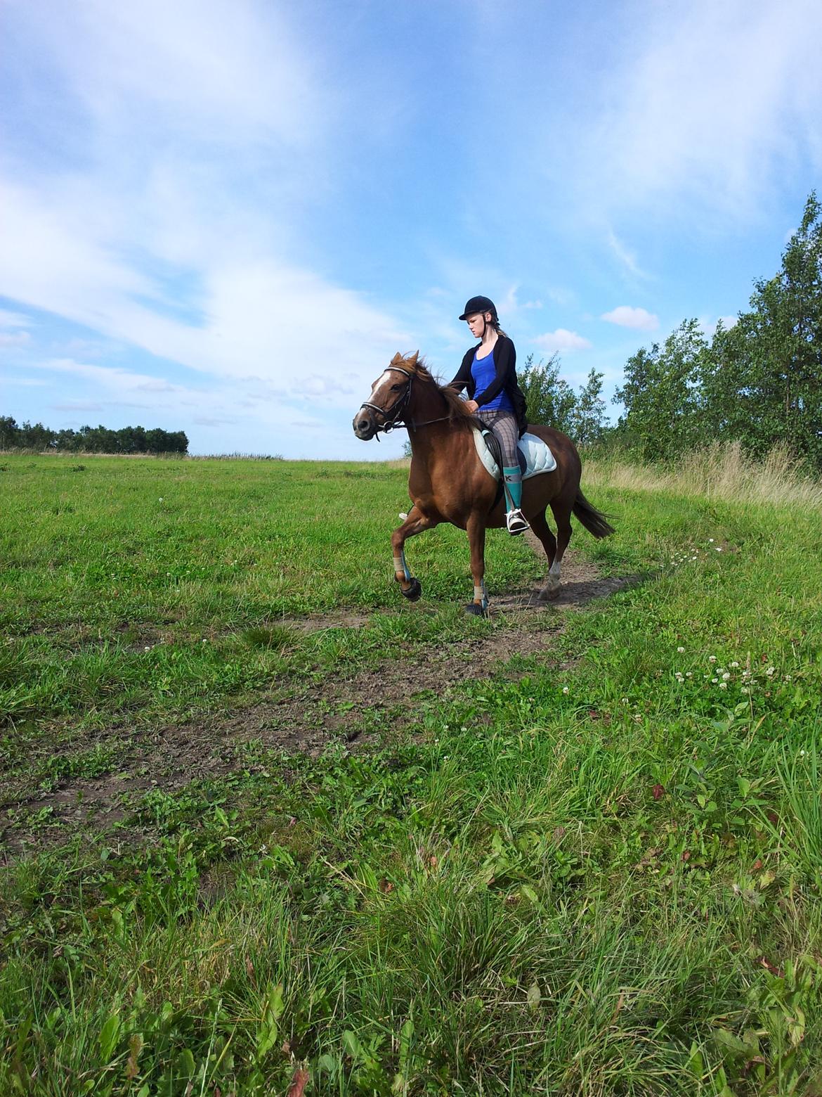 Anden særlig race Holmens Molly<3  *solgt :'S* billede 7