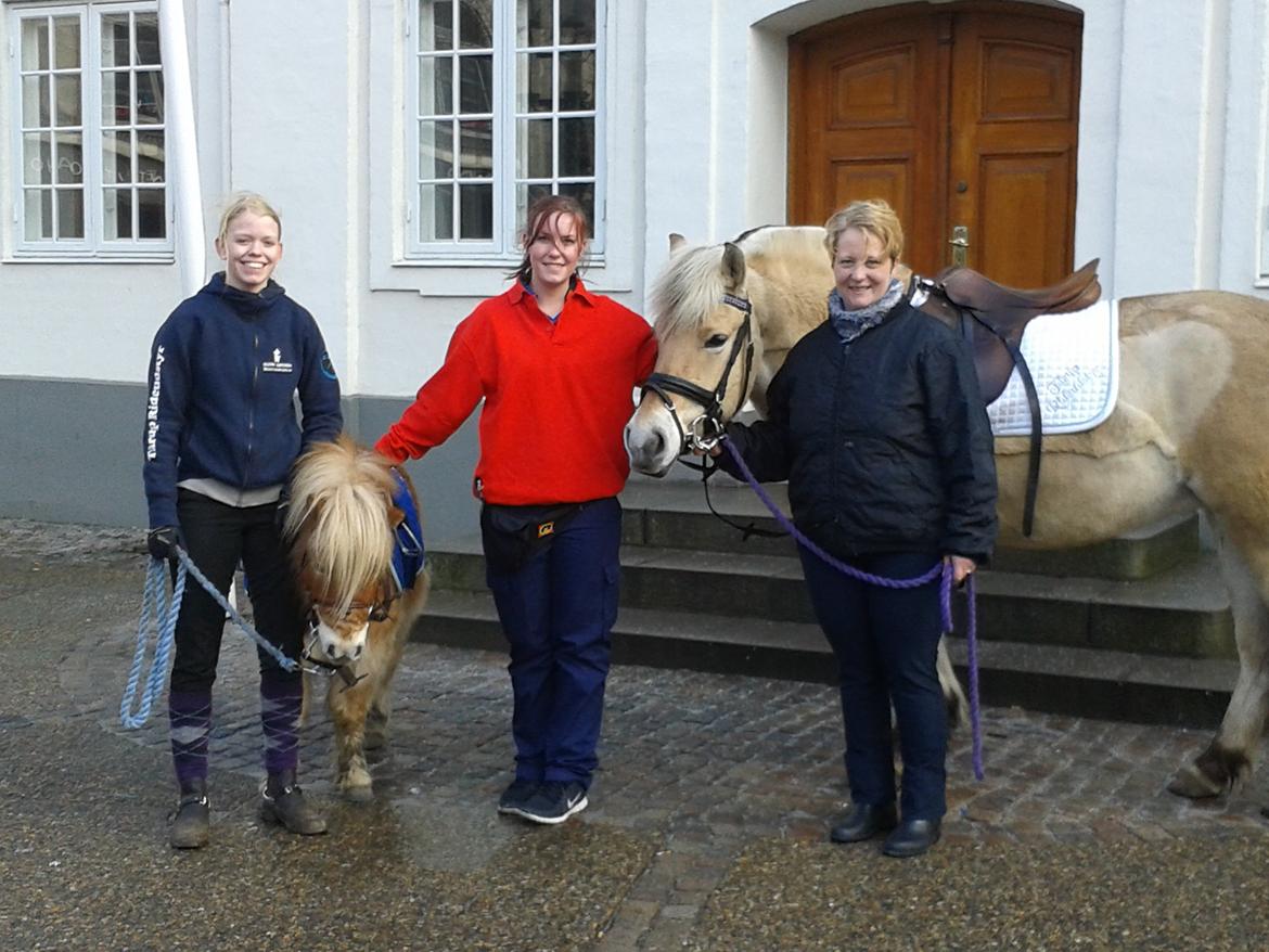 Anden særlig race Noa - d 15.2.2014 havde jeg Noa og Nicoline (begge mine heste) med til Randers midtby for at give trækketure for Fætter Br billede 15