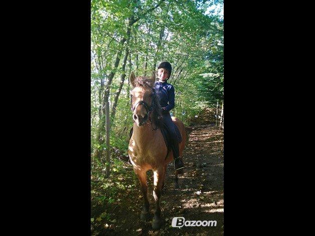 Anden særlig race Nelly billede 7