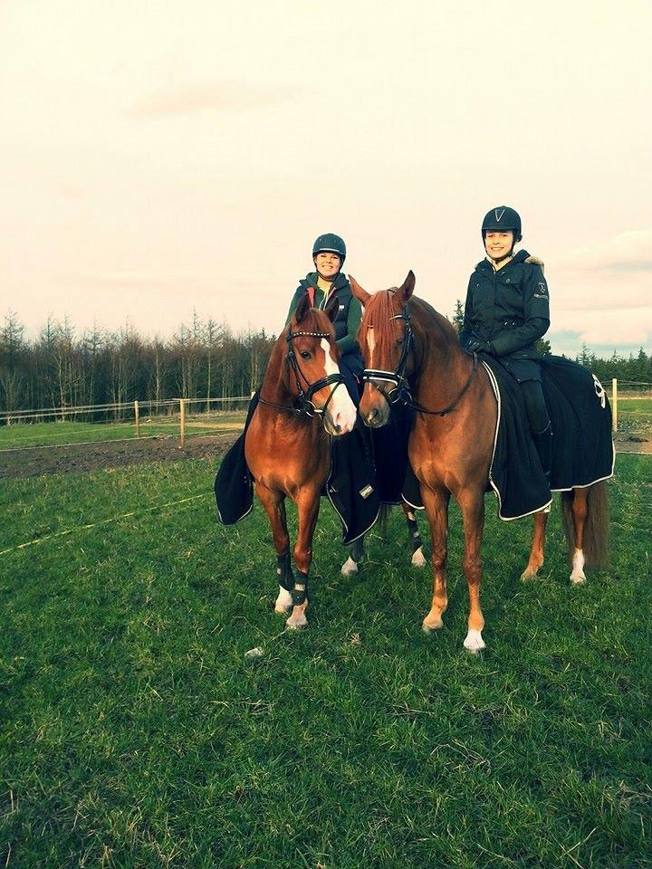 Anden særlig race Milando - Milando og hans bedste ven Bossen <3 billede 20