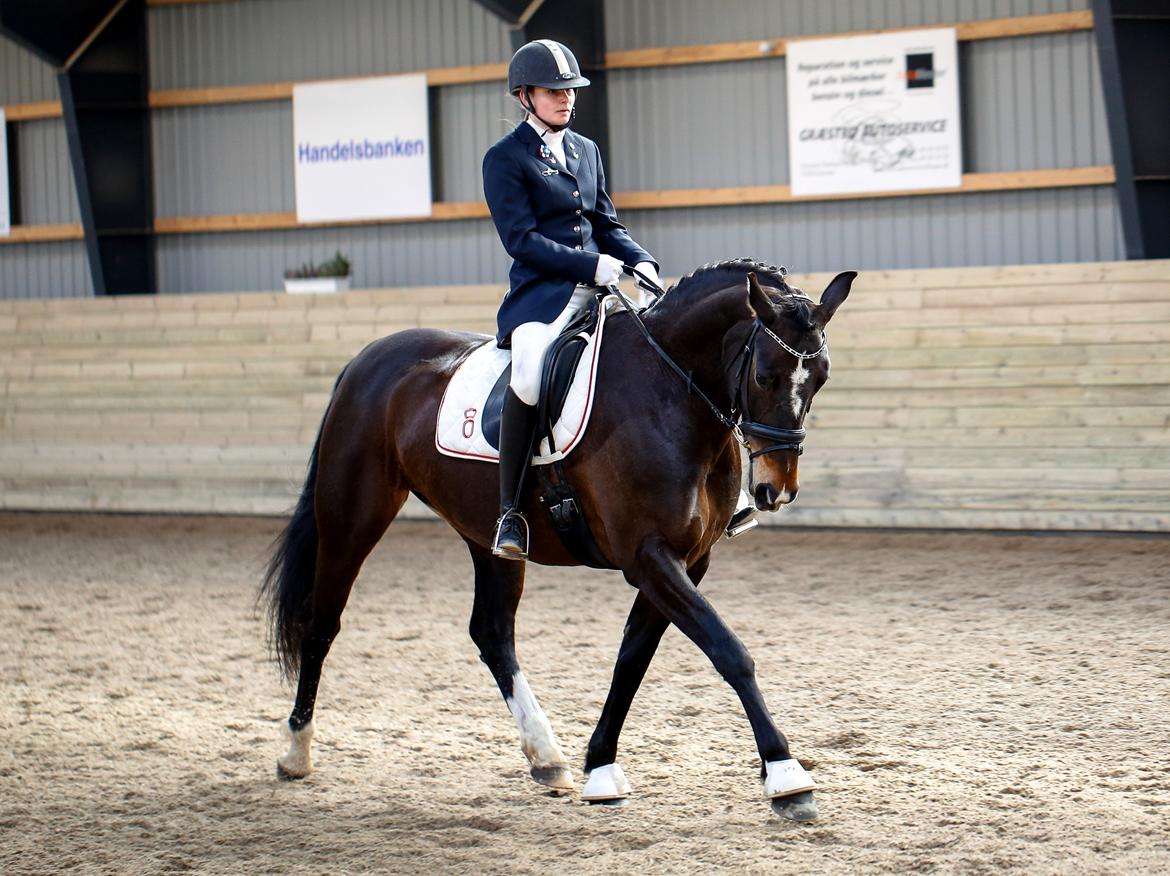 Oldenborg Kikki Mølgaard billede 13